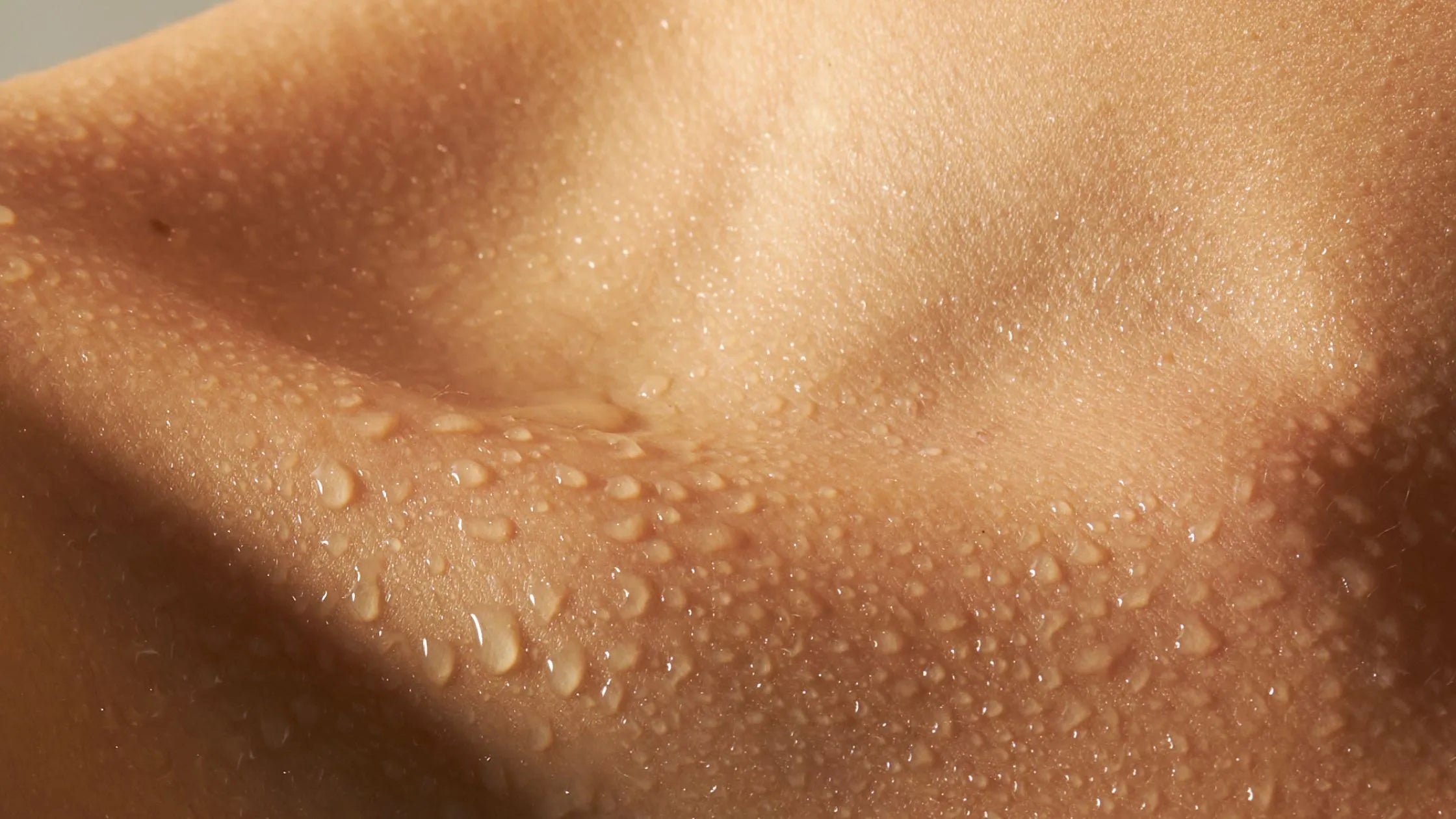 Best Ingredients for Dehydrated Skin and How to Restore Long-Lasting Hydration