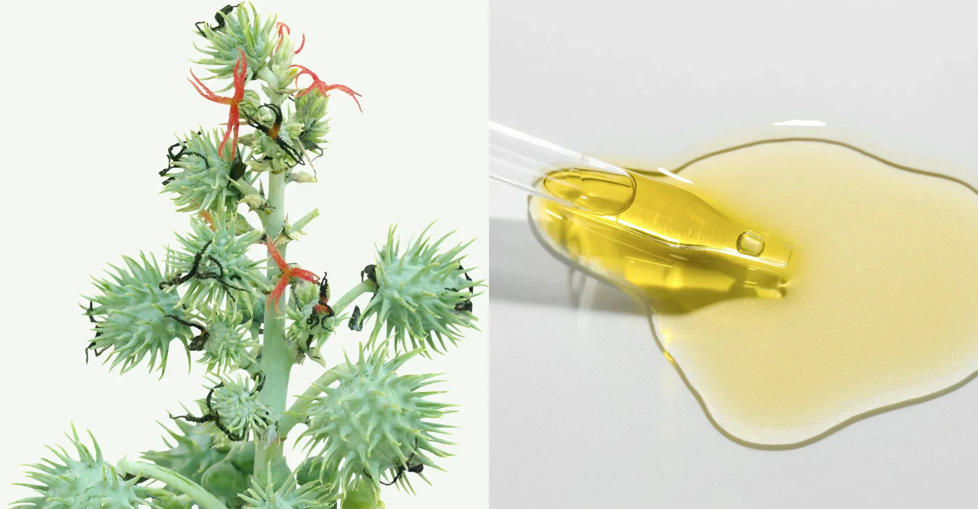 Castor Oil for Sensitive Skin Benefits