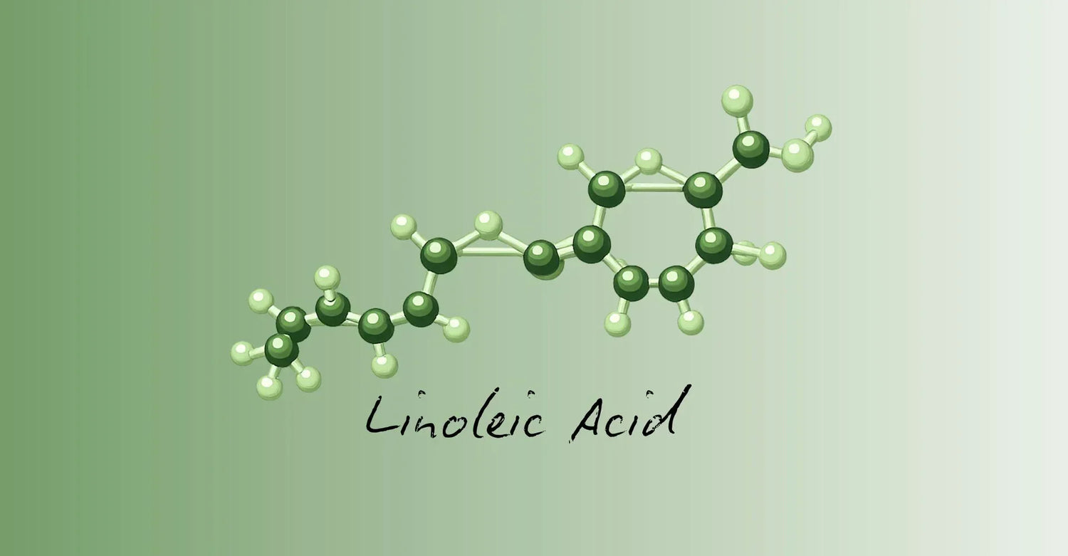 Linoleic Acid Benefits for Skin