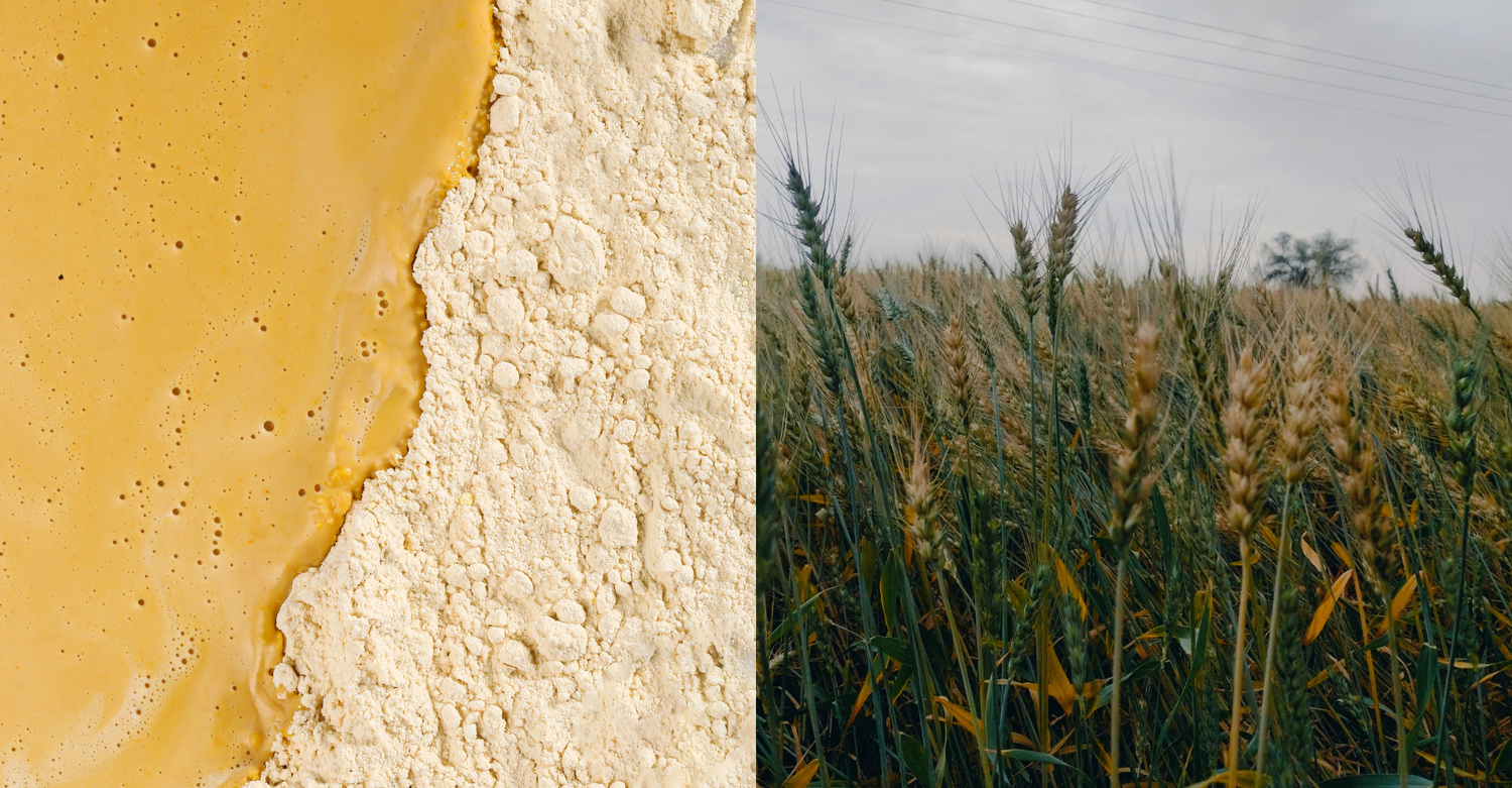 What does colloidal oatmeal do for skin