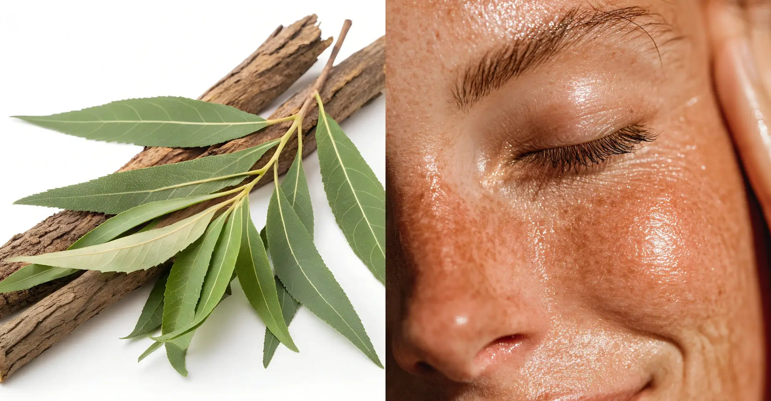 Willow bark extract for skin