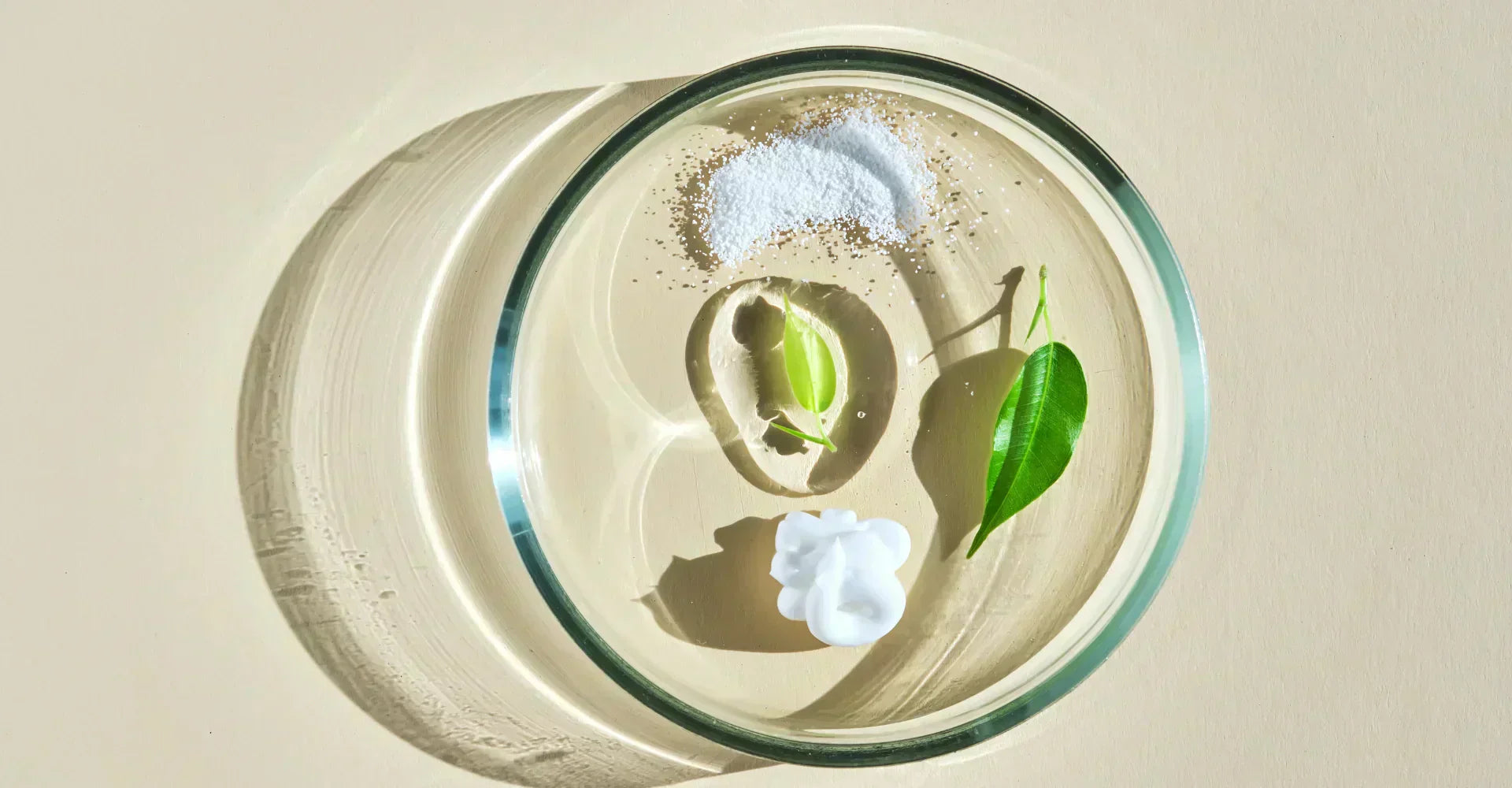 best ingredients for dry skin in winter