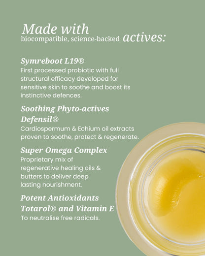 Infographic: key actives in Biobod Salvation Balm — SymReboot L19 probiotic, lanolin, omega complex, Vitamin E